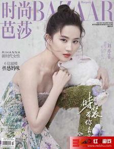 刘亦菲爆料宋宗宪视频播放,刘亦菲揭露宋宗宪视频播放背后的真相  第3张