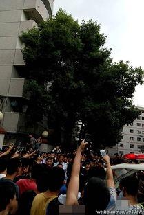 成都体院最新爆料,揭秘校园风云与体育精英养成记 第2张 成都体院最新爆料,揭秘校园风云与体育精英养成记 第2张